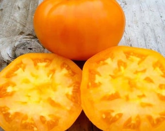 Amana Orange Tomato Seeds | Heirloom | Organic