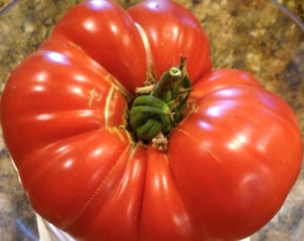Semillas de tomate filete de sandía / Heirloom / Orgánico