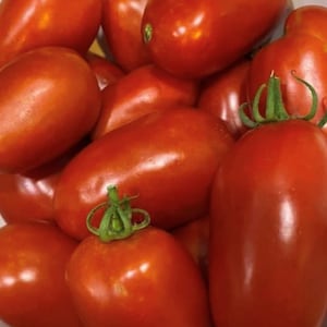 San Marzano 2 Tomato Seeds | Organic