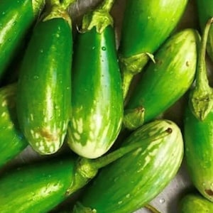 Masego Eggplant Seeds | Heirloom | Organic