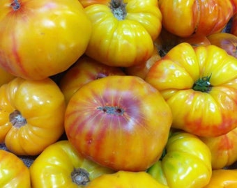 Striped German Tomato | Heirloom | Organic