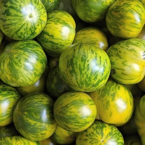 Green Zebra Tomato Seeds | Organic