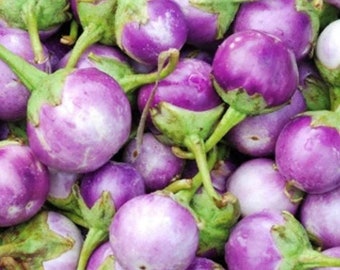 Semillas redondas de berenjena malva / Orgánicas