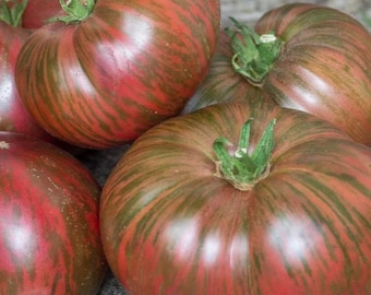 Semillas de tomate tie-dye de Dwarf Fred