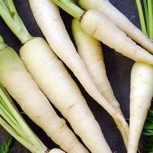 Sale** 1 Oz(16,800 Seeds) Lunar White Carrot | Heirloom