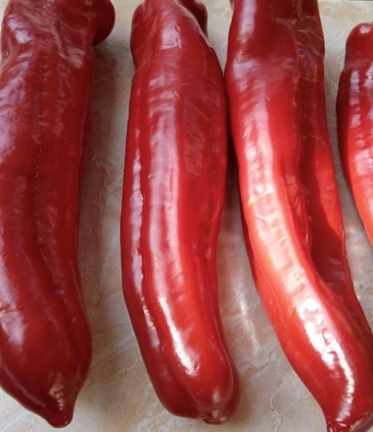 ジャイアントアコンカグアピーマンの種. 巨大アコンカグアペッパーの種 | 伝統品種 - Etsy 日本