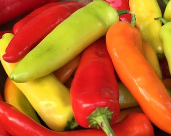 Hungarian Hot Wax Pepper Seeds | Organic