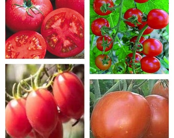 Heat Tolerant Tomato Mix | Organic Seeds