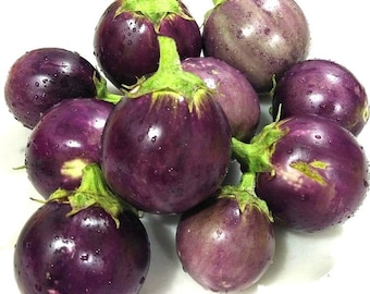 Semillas redondas de berenjena morada / Variedad tradicional / Orgánica