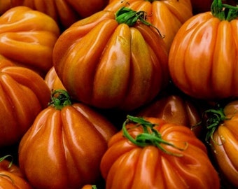 Semillas de tomate Charlie Chaplin / Heirloom / Orgánicas