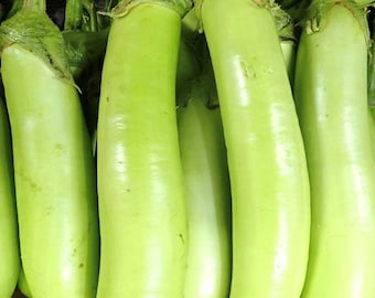 Semillas de berenjena larga de Luisiana / Variedad tradicional / Orgánica
