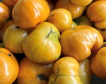 Semillas de tomate Kentucky Beefsteak / Heirloom / Orgánico