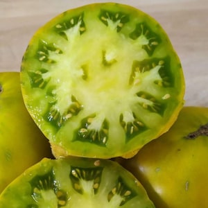 Immergrüne Tomatensamen | Erbstück | Bio