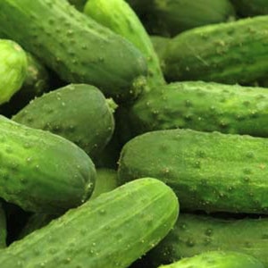 Nationale Beizgurkensamen | Erbstück | Bio