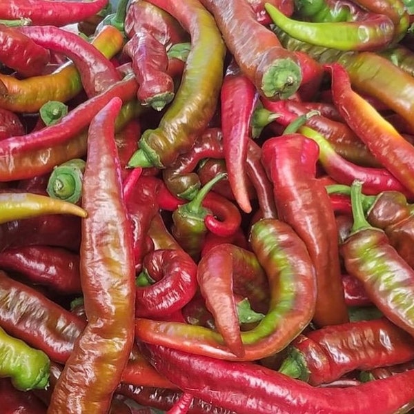 Jimmy Nardello's Pepper Seeds | Sweet | Rare | Heirloom | Organic