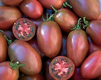 Ukrainian Purple Tomato Seeds | Heirloom | Organic