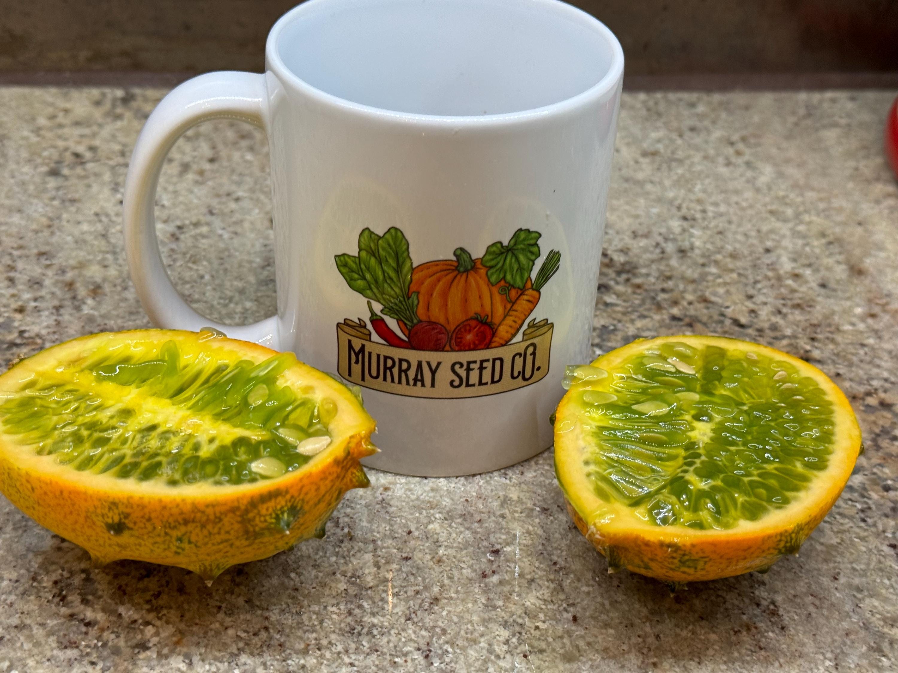 Jelly Melon Seeds | Heirloom | Aka African Horned Cucumber