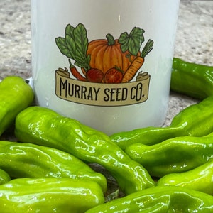 Shishito Pepper Seeds | Hot | Heirloom | Organic