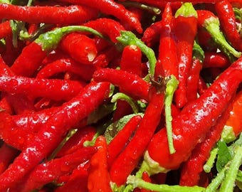 Chile De Arbol (Hot) Pepper Seeds | Heirloom