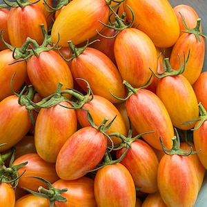 Blush Tomato Seeds | Heirloom | Organic