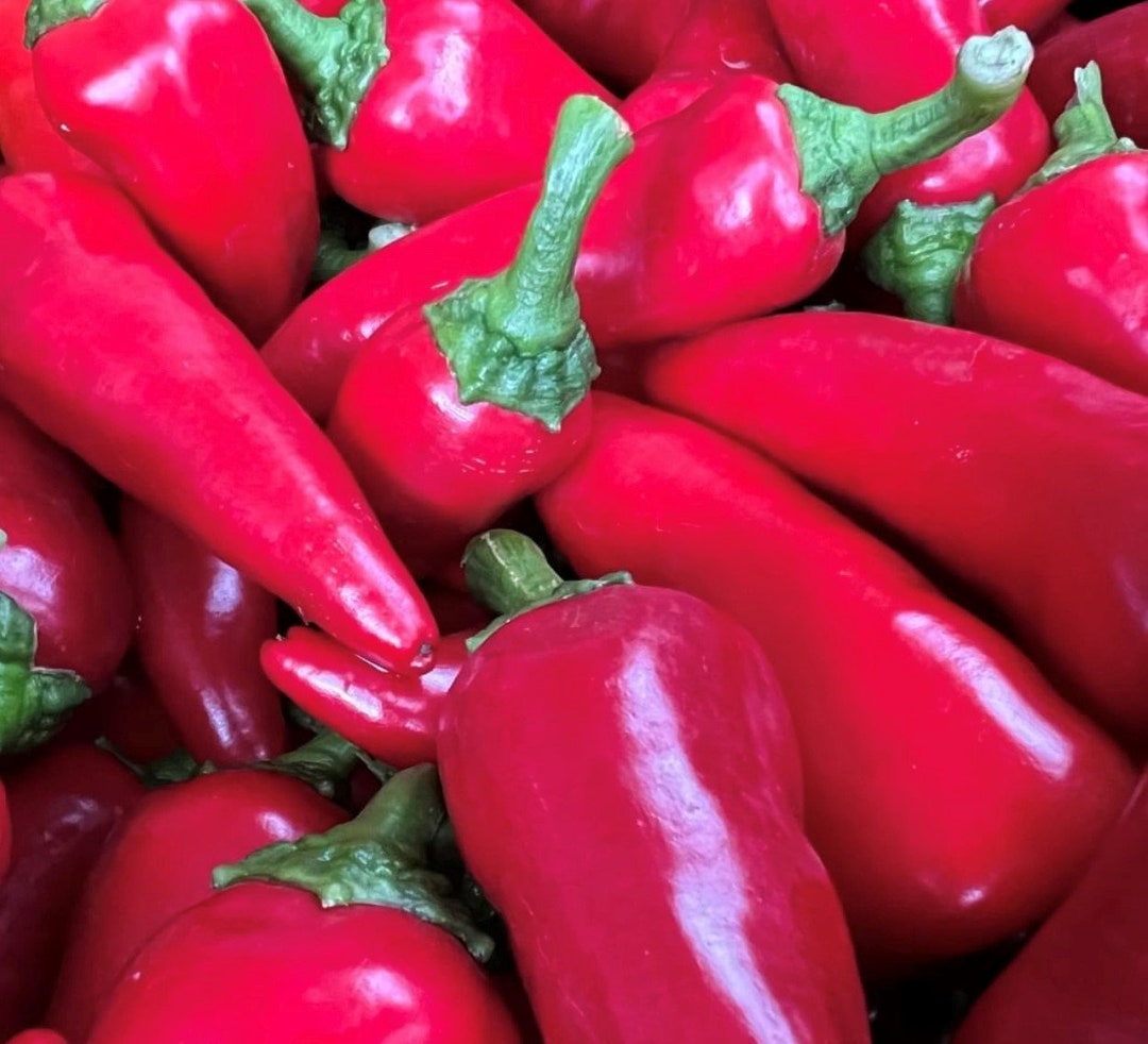 フレズノペッパーシード | ホット | 伝統品種 | オーガニック - Etsy 日本