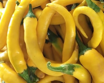 Golden Cayenne Pepper Seeds | Hot
