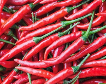 Sweet Cayenne Pepper Seeds | Heirloom | Organic