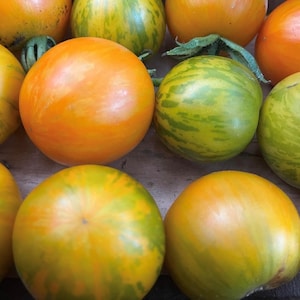 Apricot Zebra Tomato Seeds
