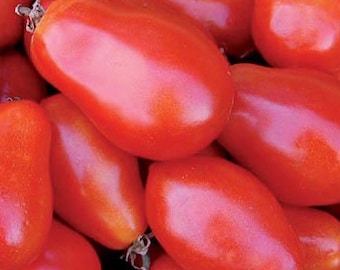 Semillas de tomate Roma de Martino / Heirloom / Orgánico