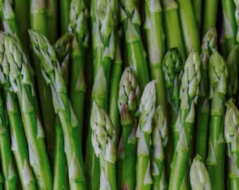 Mary Washington Asparagus Seeds | Organic