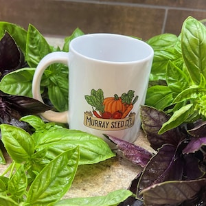 Artisan Basil Mix | Seeds