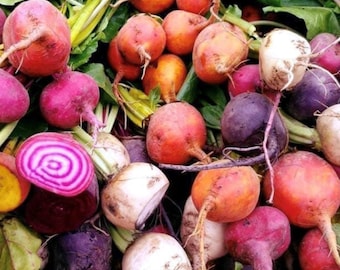 Heirloom Beet Mix | Heirloom | Organic