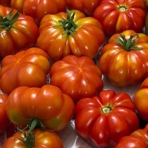 Rosso sizilianische Tomatensamen | Erbstück | Bio