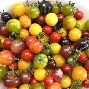 Heirloom Cherry Tomato Seed Mix | Heirloom | Organic