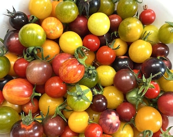 Heirloom Cherry Tomato Seed Mix | Heirloom | Organic