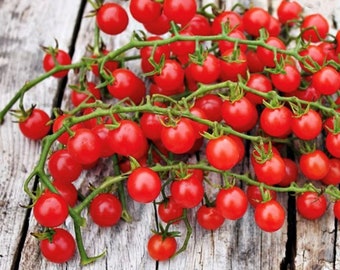 Red Currant Tomato Seeds | Heirloom | Organic
