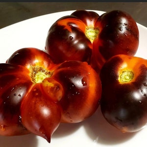 Indigo Apple Tomato Seeds | Organic