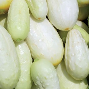 Miniature White Cucumber Seeds | Heirloom | Organic