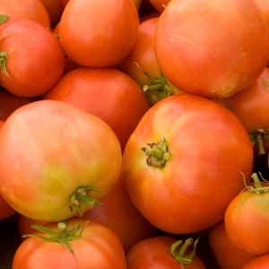 Long keeper Tomate Samen | Erbstück | Bio