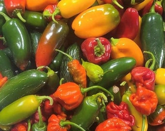 Hot Pepper Mix | Organic Seeds