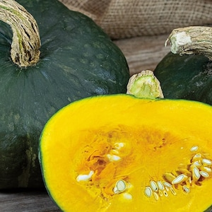 Burgess Buttercup Winter Squash Seeds | Heirloom | Organic