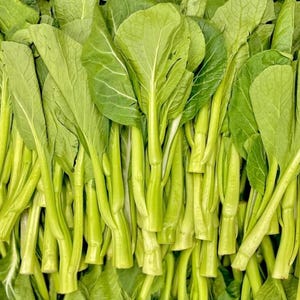 Yu Choy Sum (Jung Green) Seeds