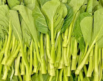 Yu Choy Sum (Jung Green) Seeds