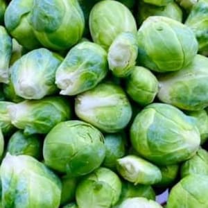 Semi di cavoletti di Bruxelles Catskill / Cimelio / Biologici