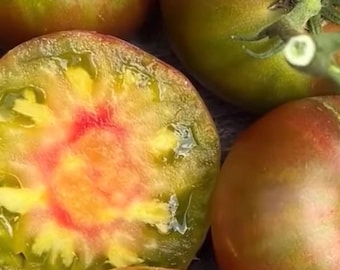 Captain Lucky Tomato Seeds | Organic