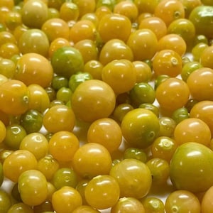 May include: A close-up of a bowl filled with small, round, golden yellow and green fruits. The fruits are arranged in a random pattern, creating a visually appealing display.