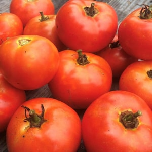 Campell&#39;s 146 Tomato Seeds | Heirloom | Organic