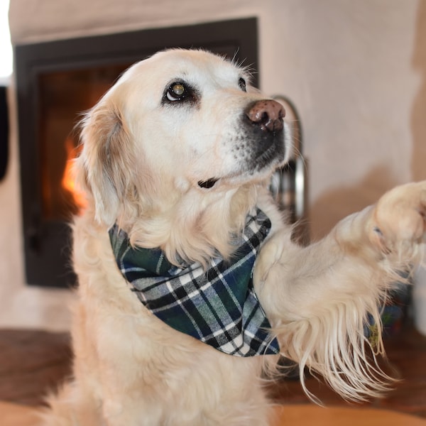 Hundehalstuch - Schottenkaro dunkelgrün Flanell