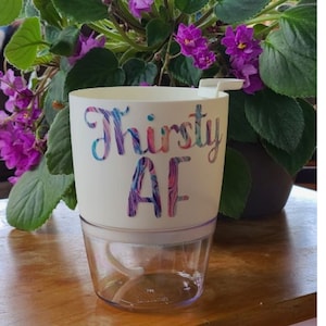 May include: White self-watering planter with a clear reservoir. The planter has a colorful, abstract design and the text "Thirsty AF" printed on the side.