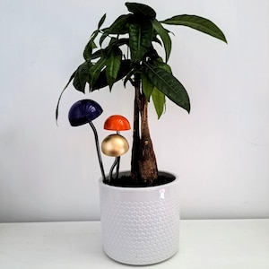 May include: A potted plant with green leaves and a thick brown trunk. Three decorative metal mushrooms are placed in the soil. The mushrooms are painted in shades of blue, orange, and gold.